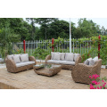 Klassisches Modell Wasser Hyazinthen Sofa Set